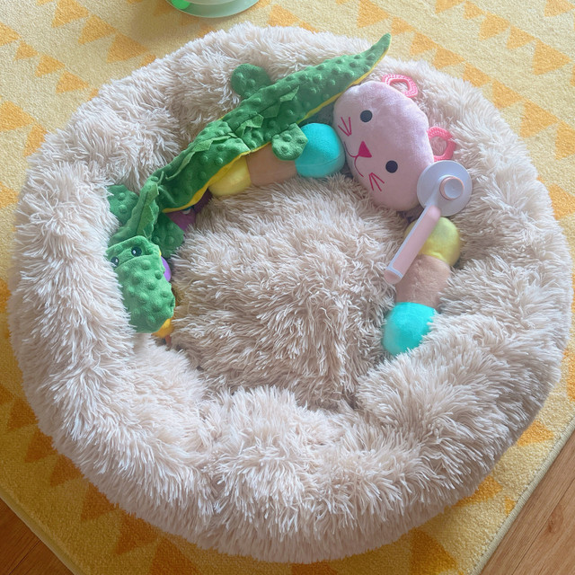[New] Plush Donut Pet Bed with Toys in Accessories in Kingston