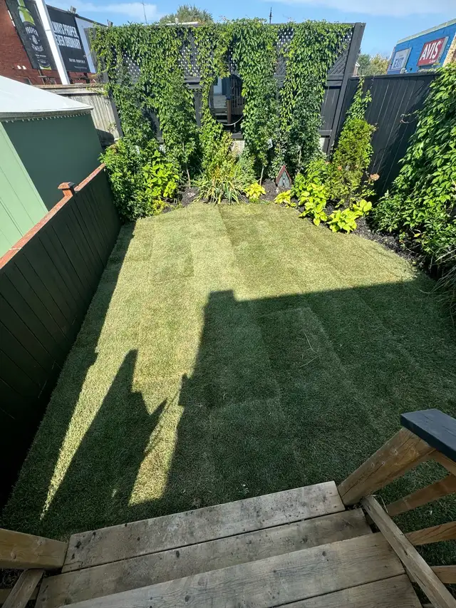 Sod Installation – Reliable & Affordable (GTA)63749436286977124