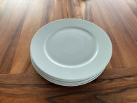 Elegant dinner plates