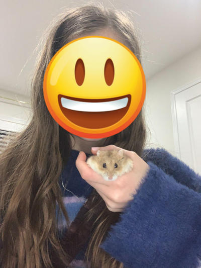 Small Pet and invertebrate sitter - FIRST NIGHT FREE, View more