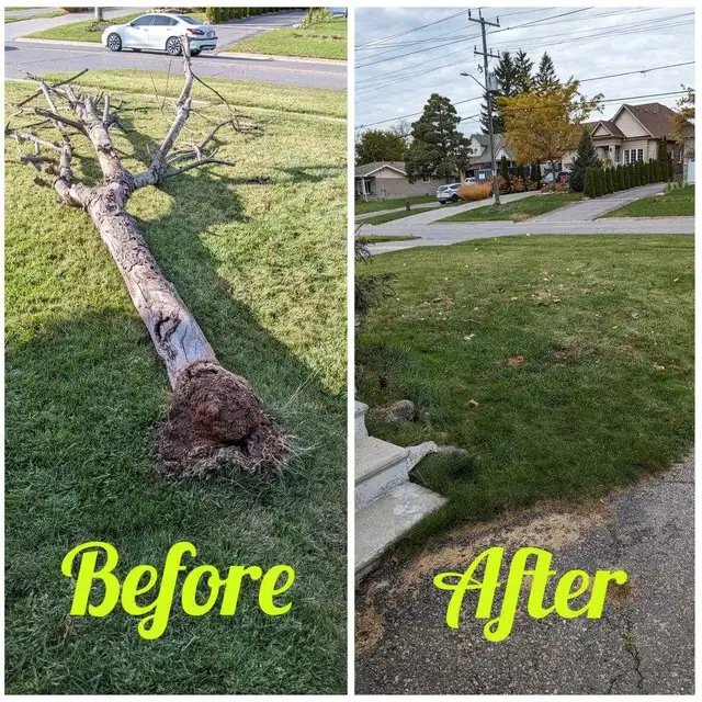 JUNK REMOVAL *  FREE QUOTE * UNBEATABLE PRICES63782602627459123