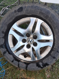 Honda Odyssey  16" alloy wheels and summer tires