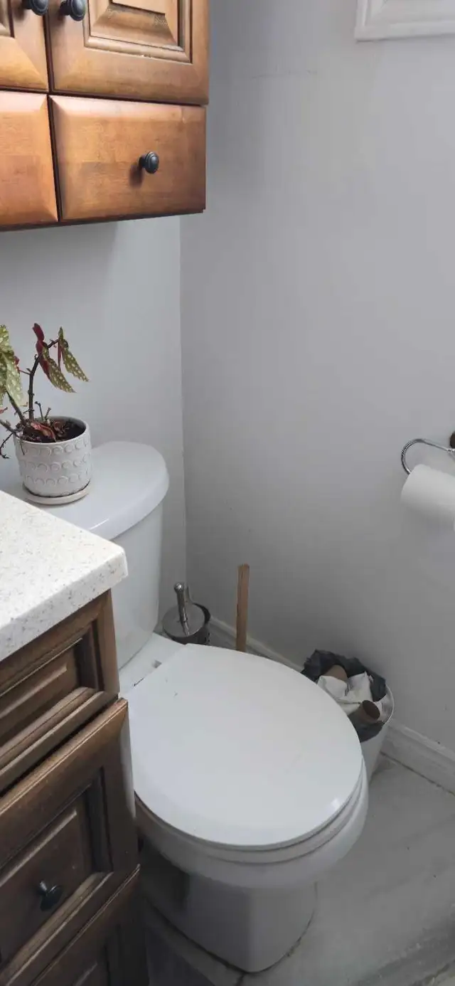 Basement Apartment Seperate Entrance 1br. 1wr.liv din.kit