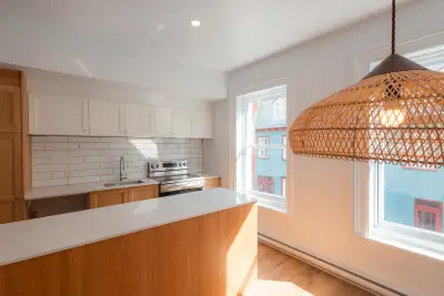 Beau 5 1/2 ( 3 chambres) fraîchement rénové dans Saint-jean-baptiste, quartier prisé de la ville de...
