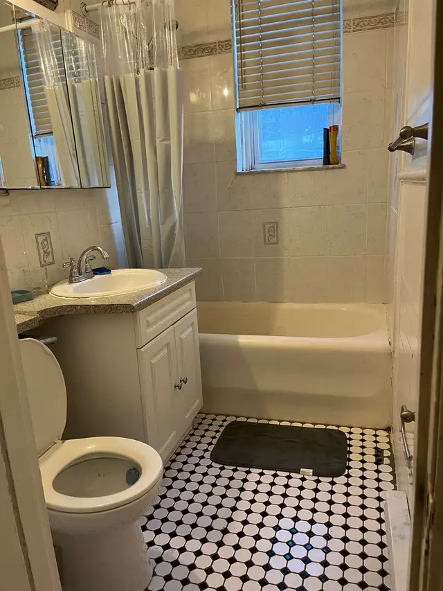 Female roommate - Immediatly available  in Room Rentals & Roommates in City of Montréal - Image 2