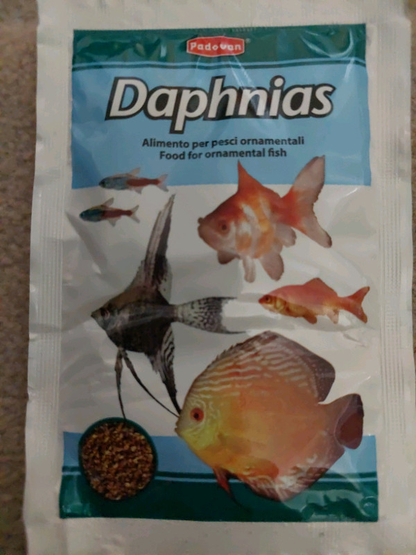 LIQUIDATION!!! Daphnias fish food dans Poissons à adopter  à Ouest de l’Île - Image 2