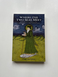Where the two seas meet by Hugh Talat Halman