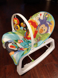 Fisher Price baby to toddler rocker