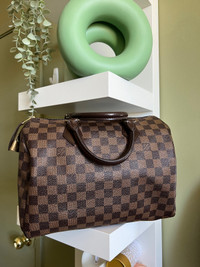 Louis Vuitton Speedy 30 (located in Scarborough)