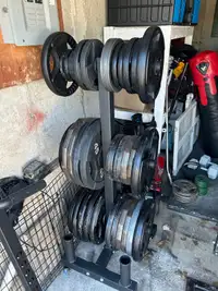 Olympic weight plates , bar, tree rack 