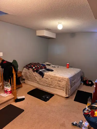 Ajax studio basement on Kingston rd +Westney rd intersection, close to public transport, Durham Tran...