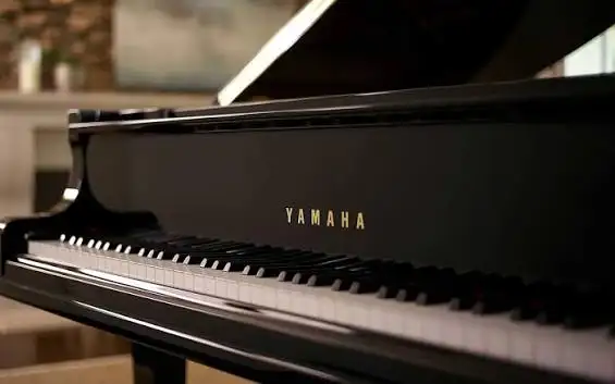 In Home Piano Teacher