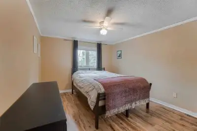 Private Room for rent