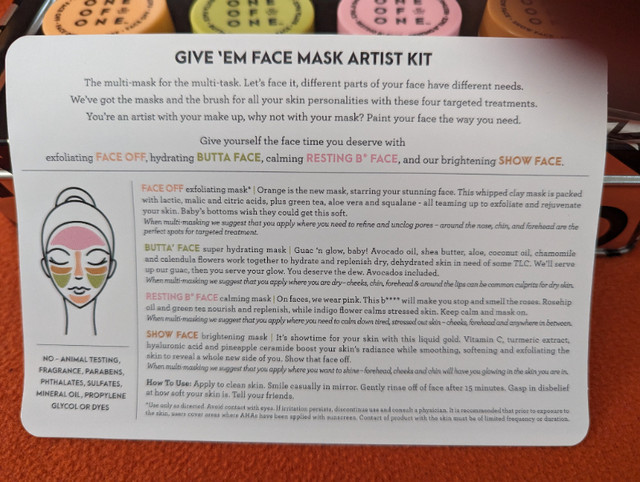 Face mask kit with carrying case and instructions in Other in Edmonton - Image 2