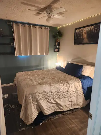 female roommate wanted