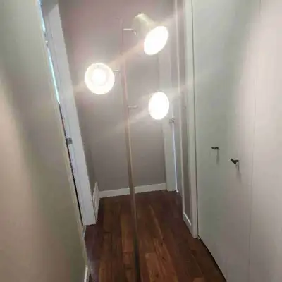 Heavy-Duty All-Metal 3-Head Floor Lamp, Grow Light/Reading, View more
