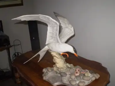 Boehm Bird Figurine - " Common Tern " - #497 -, View more