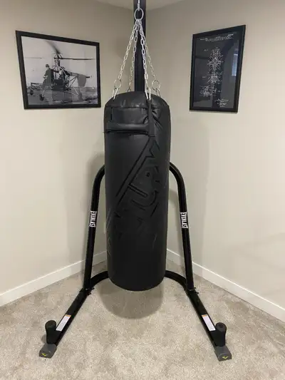 Everlast 100lb bag + stand, View more