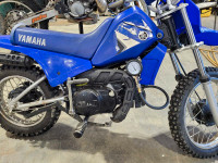 Yamaha Pw80 
