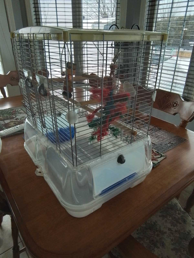 À vendre cage pour oiseaux  dans Oiseaux à adopter  à Saint-Hyacinthe