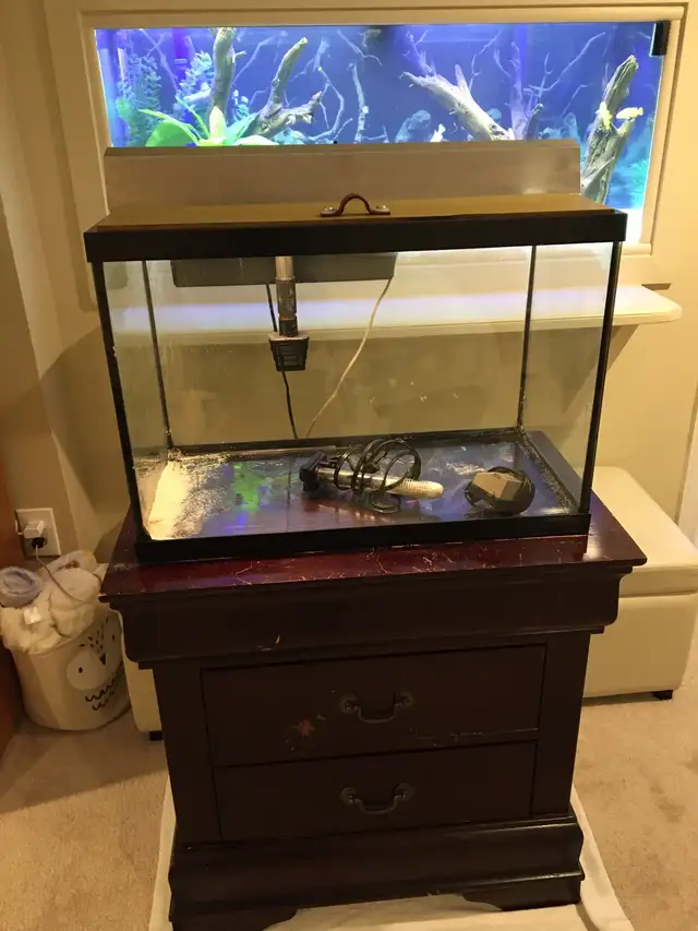 AQUARIUM STUFF FOR SALE ROCKS TANKS ETC - Pickering  in Fish for Rehoming in City of Toronto - Image 11