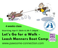Leash Manners Boot Camp