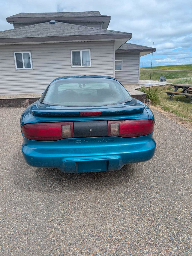 Firebird in Cars & Trucks in Medicine Hat - Image 4