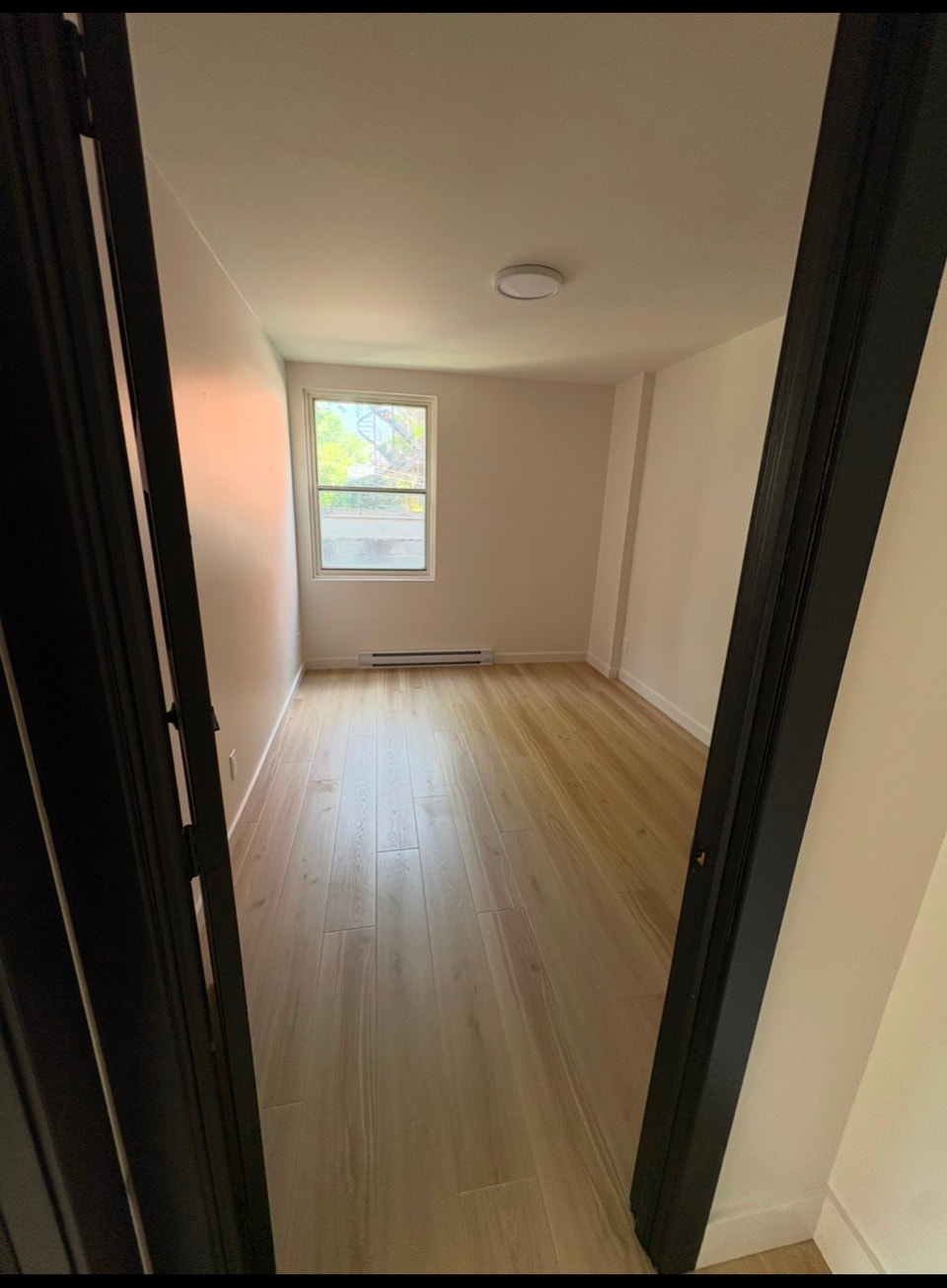 5 1/2 à louer dans le vieux Rosemont 5