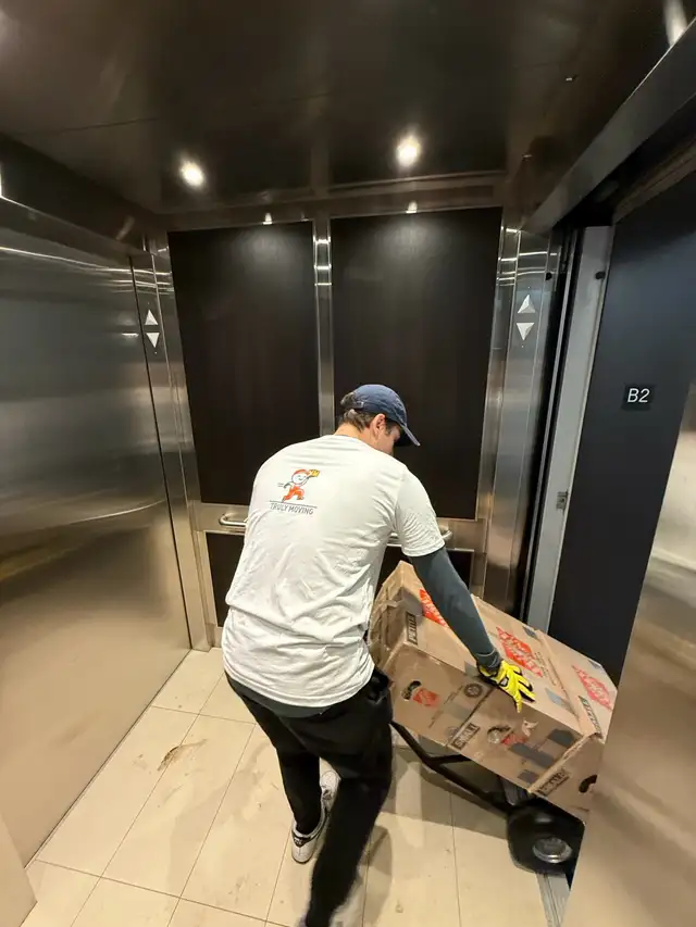 Movers - Quick, Licensed, Reliable63234525019907121