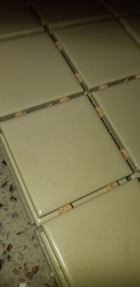 Shower floor or mosaic ceramic tiles