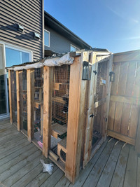 Luxury catio (for sale at the price of material cost only) 