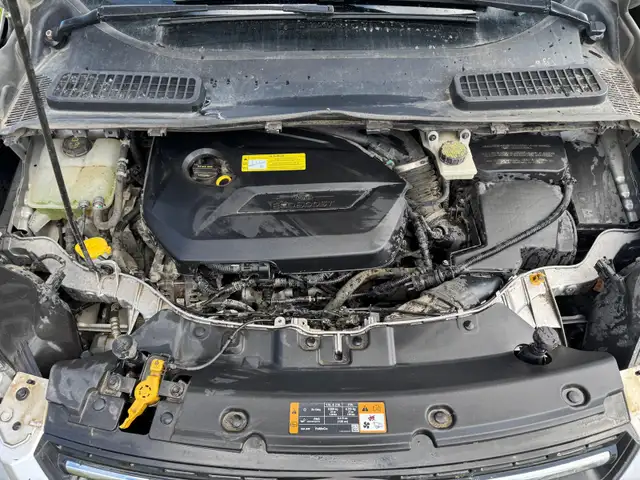 2014 Ford Escape SE in Cars & Trucks in Edmonton - Image 6
