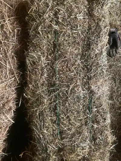 Second cut hay, View more