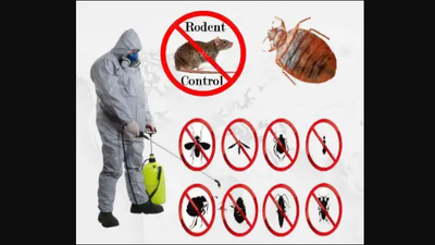 Bed Bug Mice pest control service start 99 $ call 647-609-8202, View more