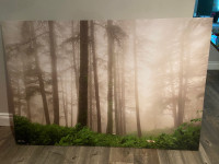 Tree Canvas Picture 