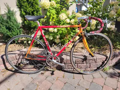 Vintage Giant Allegre Racing Bike – 55 cm – Shimano RX100, View more