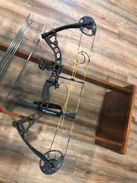 Compound bow with arrows