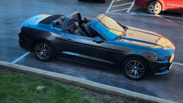 Ford mustang cabriolet  2016 dans Autos et camions  à Laval/Rive Nord - Image 3