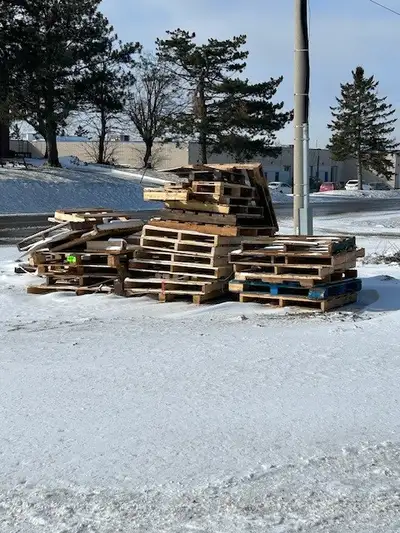 Free scrap wooden pallets, View more