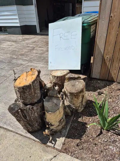 free poplar firewood, View more
