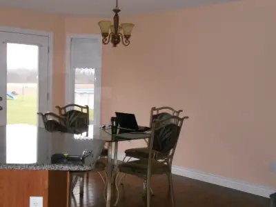 **LOOKING FOR A PAINTER YOU CAN TRUST?**, View more