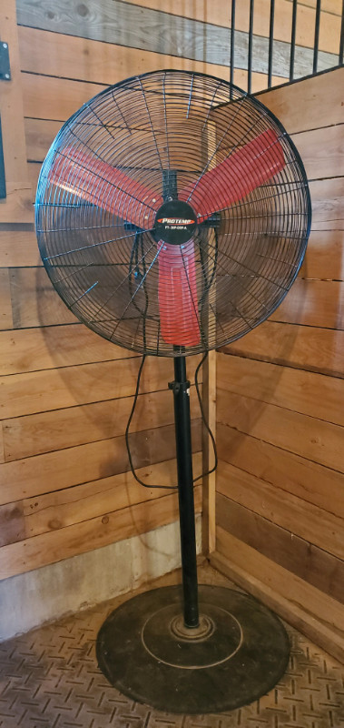 Protemp 30" High Velocity Pedestal Fan in Equestrian & Livestock Accessories in Ottawa