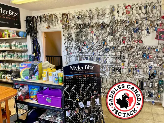 Western & English Saddles & Tack in Equestrian & Livestock Accessories in Regina - Image 6