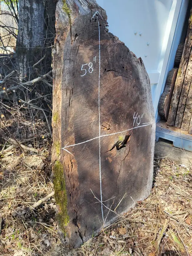 Various Live Edge Wooden Slabs in Other in Ottawa - Image 5