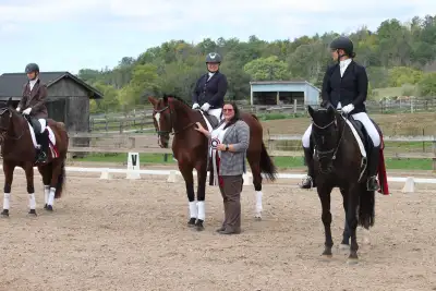 Horseback riding lessons, View more