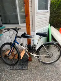 Motorized cycle