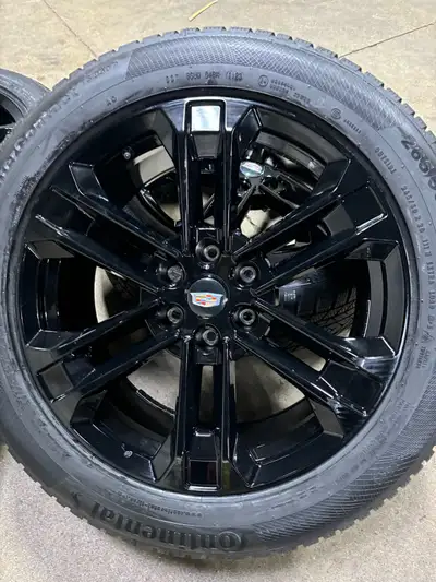 Brand new 2026 Cadillac Lyriq Continental TS850 WinterContact with tpms sensors. They are 265/50/20...