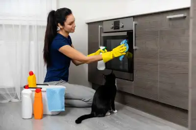 House Cleaning Services For Toronto And Surrounding Areas, View more