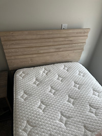 Single bed with high quality oasis foam mattress/ night stand 