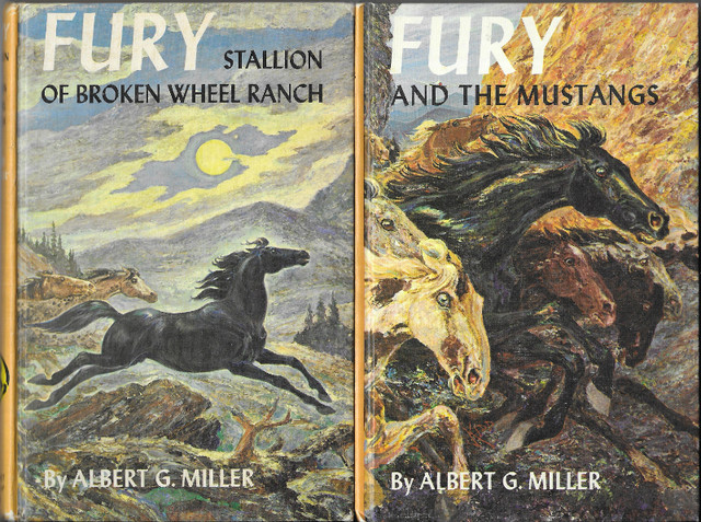 FURY Stallion of Broken Wheel Ranch + FURY and the Mustangs Hcvs in Children & Young Adult in Ottawa